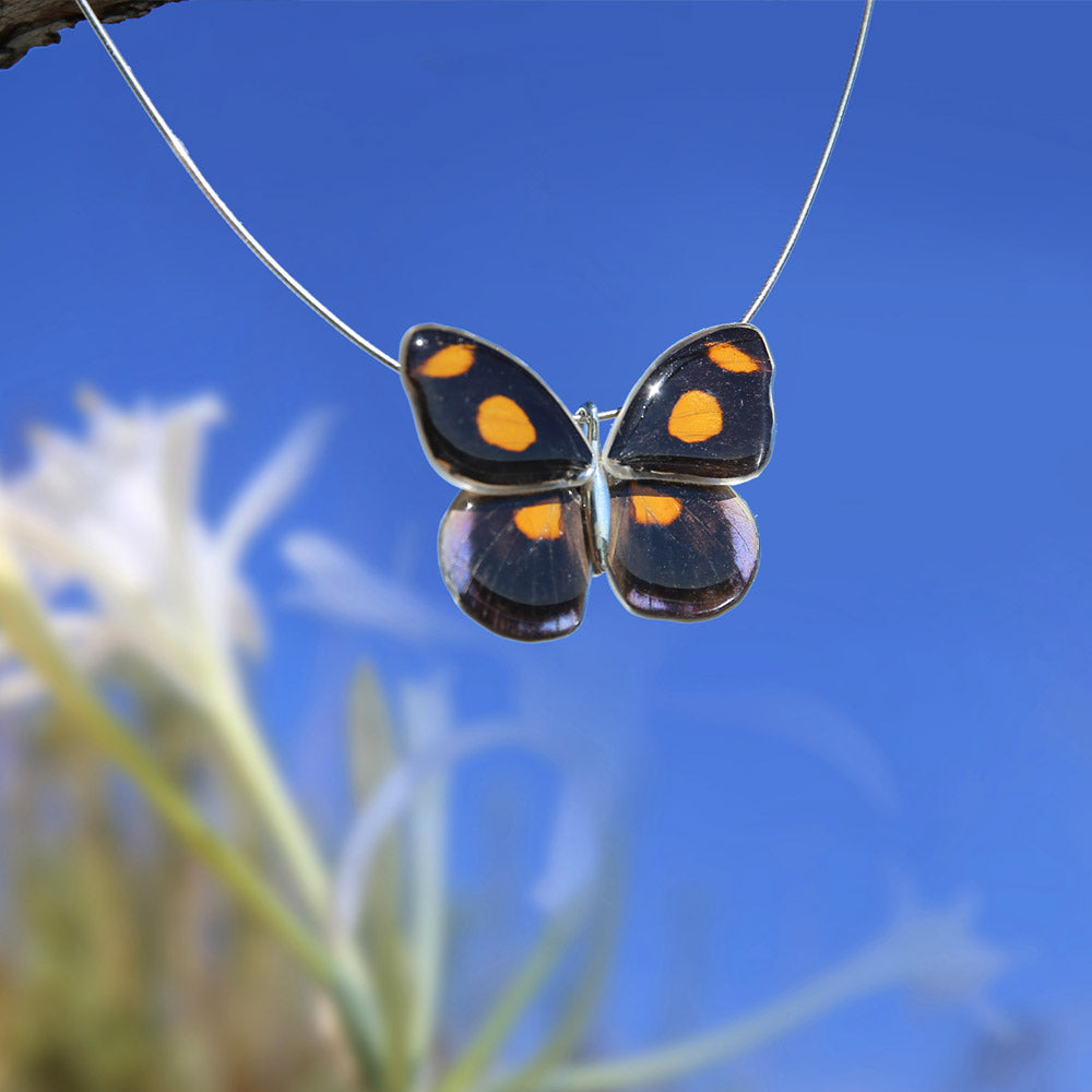 Gargantilla Mariposa Catonephele Numilia entera 4 alas