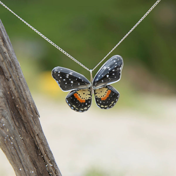 2 Chlosyne Janais Butterfly Chokers