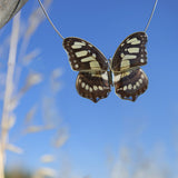 Whole Siproeta Stelenes Butterfly Choker 4 wings