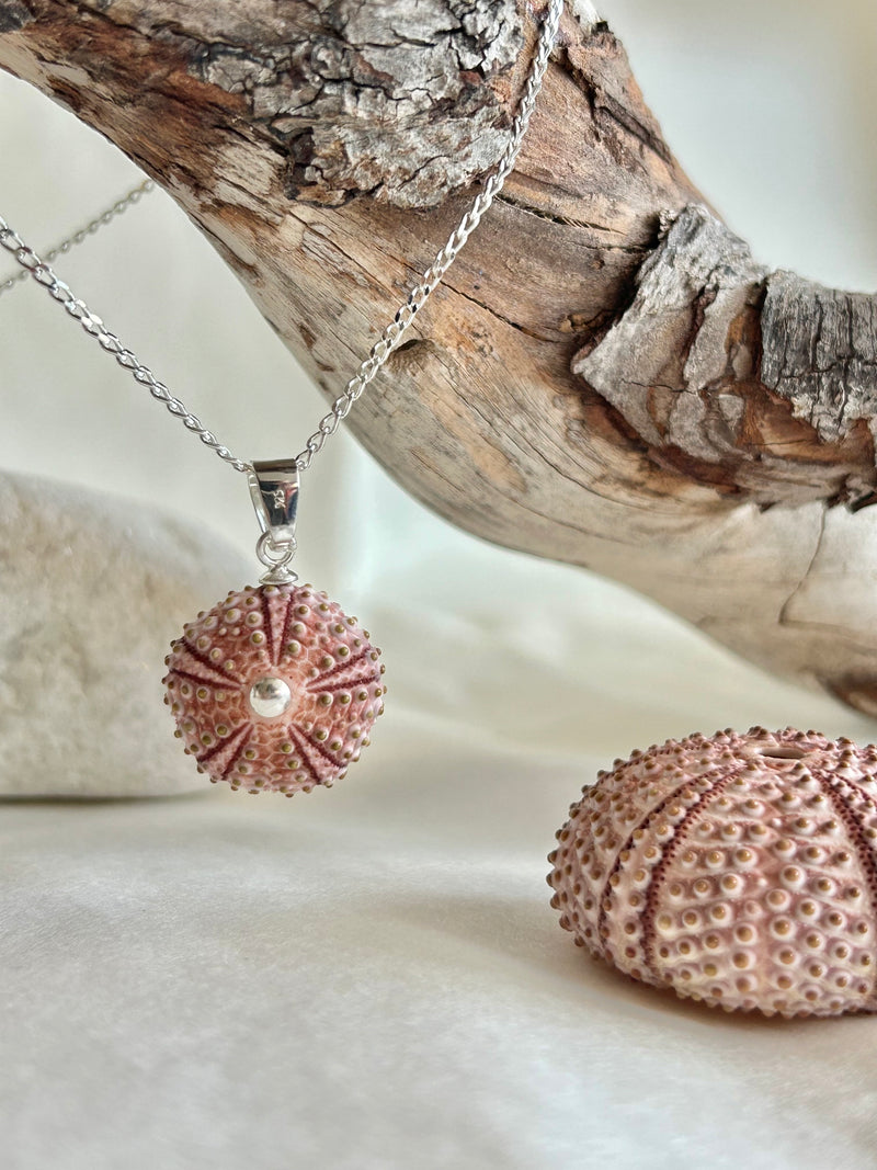 Colgante Erizo Rosa Natural Pequeño