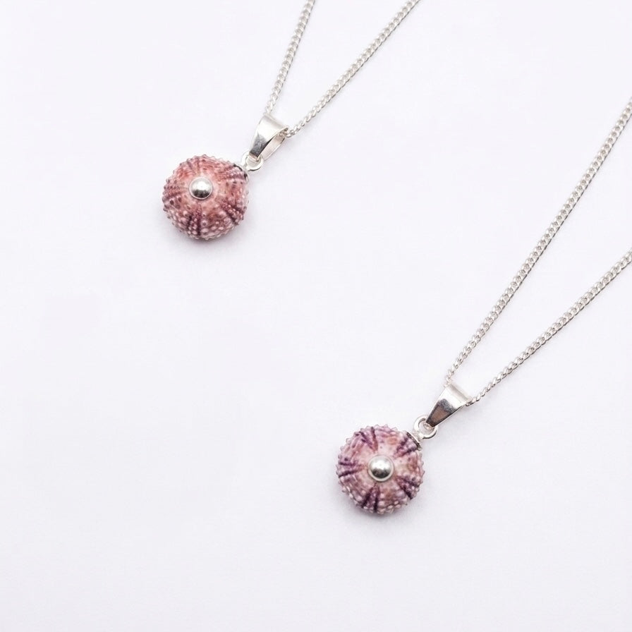 Colgante Erizo Rosa Natural Pequeño