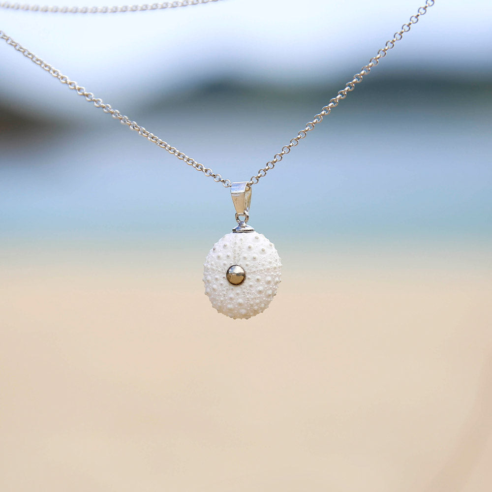 Colgante Erizo Blanco Natural Pequeño