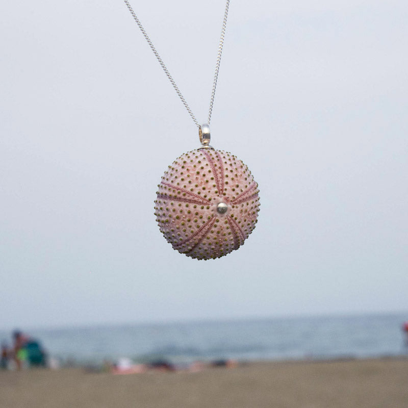Large Natural Pink Sea Urchin Pendant