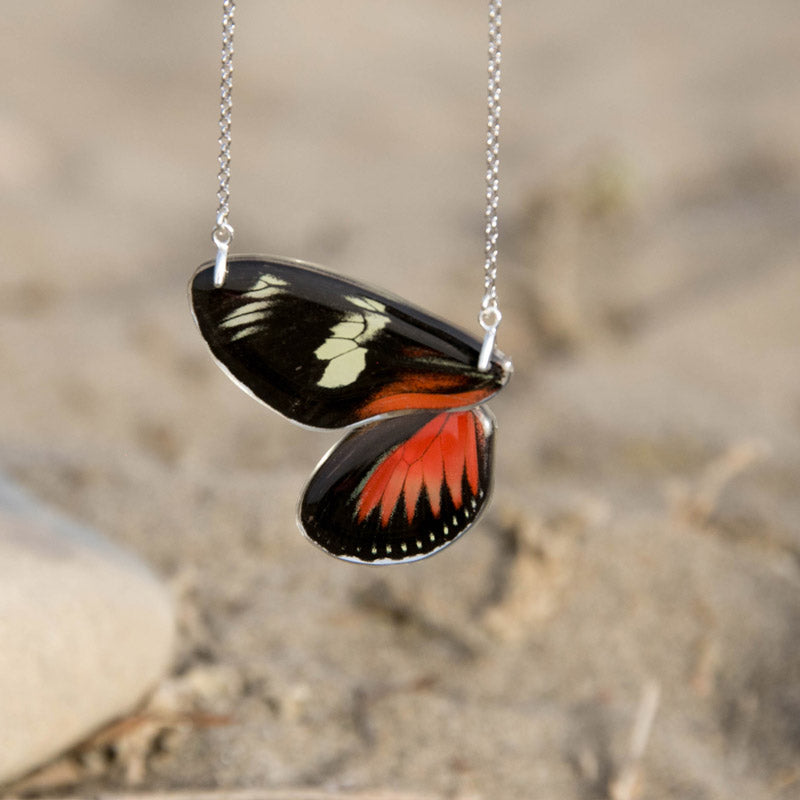 2 Heliconius Doris Butterfly Necklace
