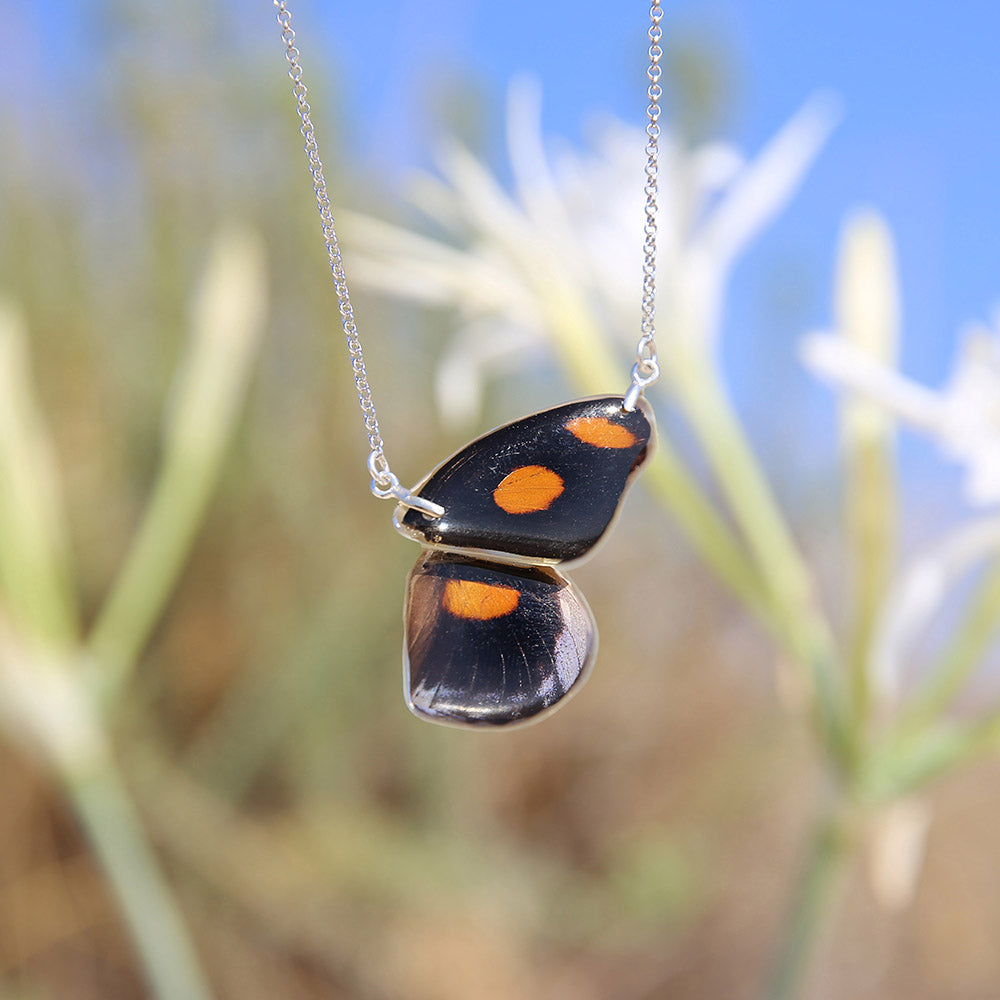 Butterfly Necklace Catonephele Numilia