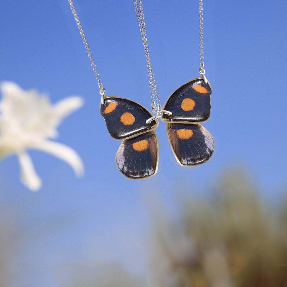 Heliconius Doris Butterfly Choker