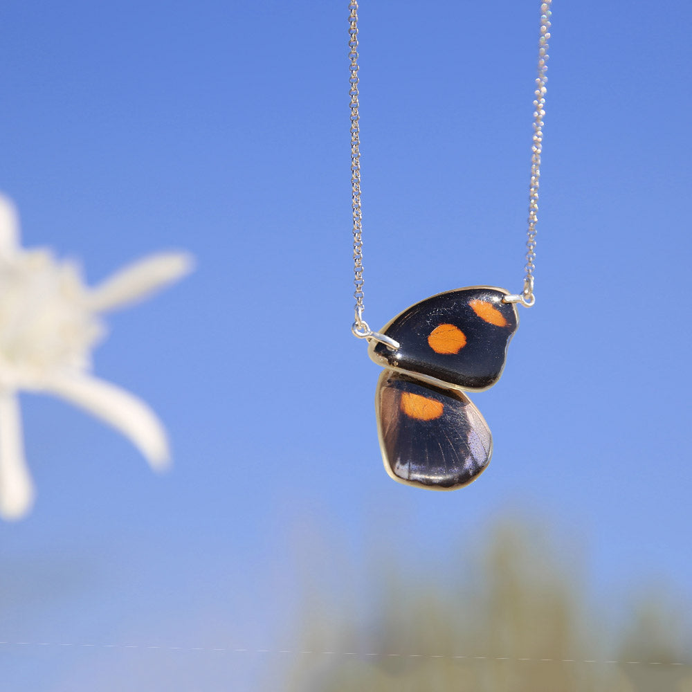 Butterfly Necklace Catonephele Numilia