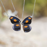 Heliconius Doris Butterfly Choker