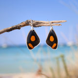 Catonephele Numilia Butterfly upper wing hook earrings