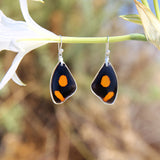 Catonephele Numilia Butterfly upper wing hook earrings