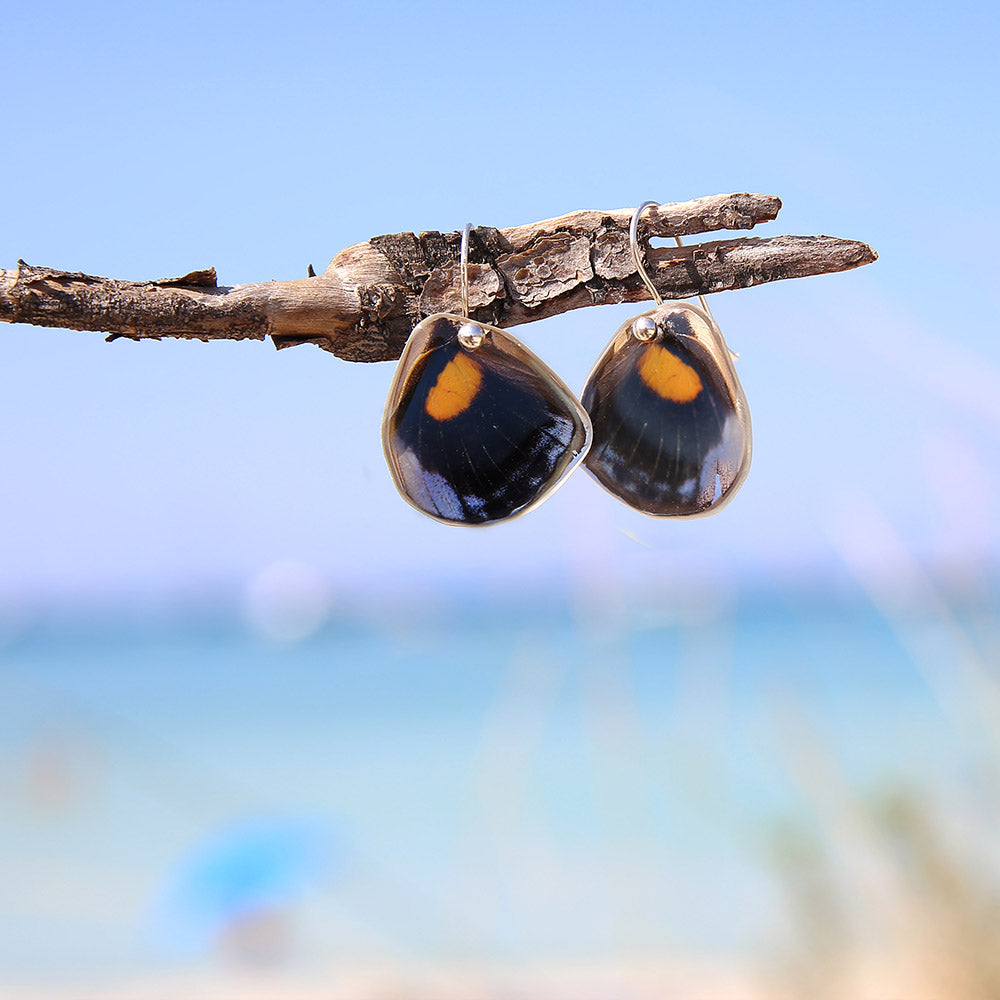 Pendientes Mariposa Catonephele Numilia ala inferior