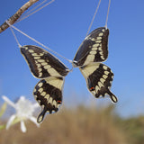 2 Gargantillas Mariposa Papilio Thoas