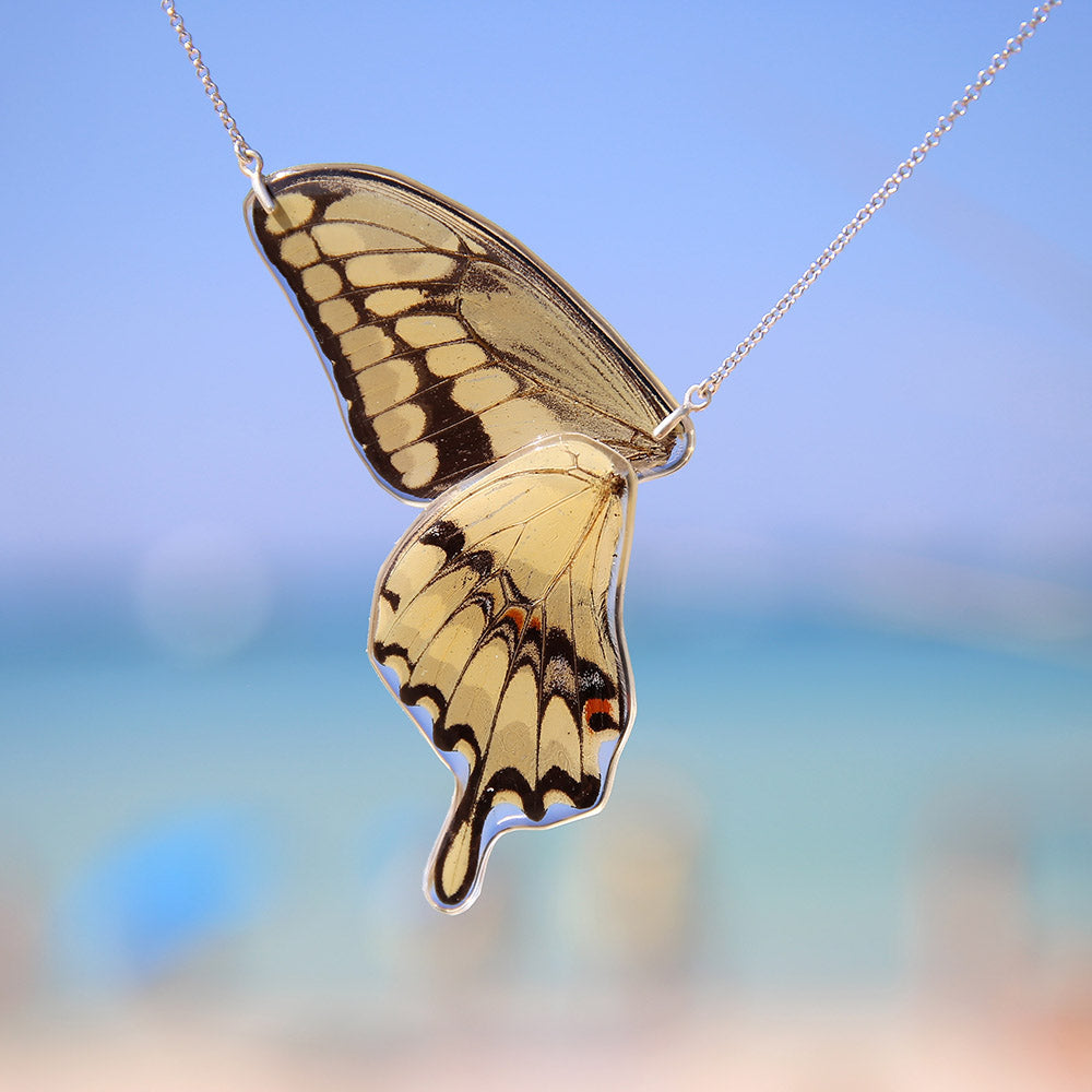 Gargantilla Mariposa Papilio Thoas