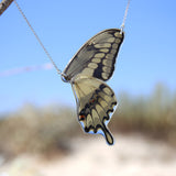 Gargantilla Mariposa Papilio Thoas