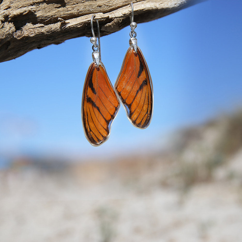 Pendientes Mariposa Dione Juno ala superior