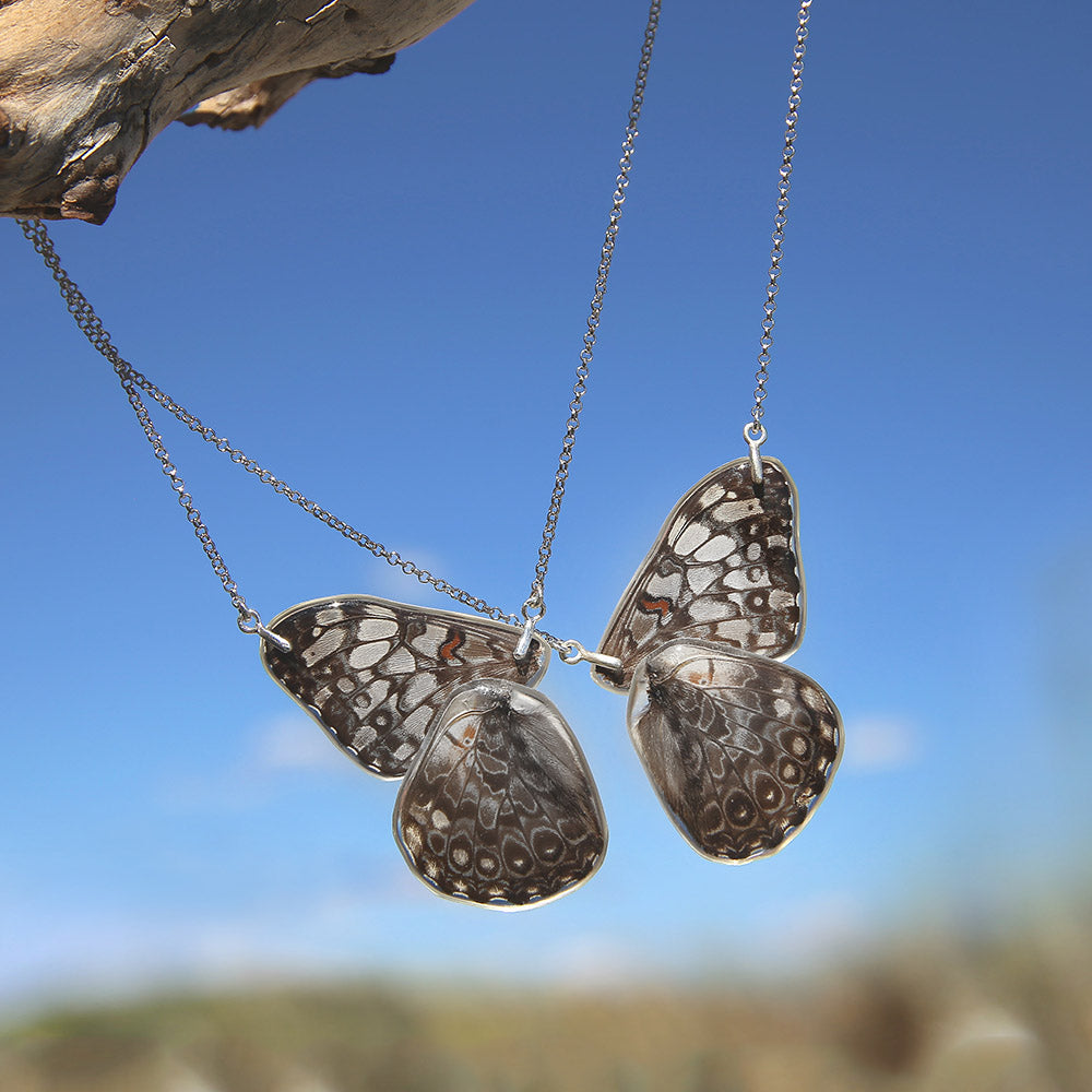 2 Gargantillas Mariposa Hamadryas Feronia