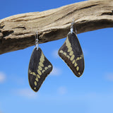 Papilio thoas Butterfly upper wing hook earrings