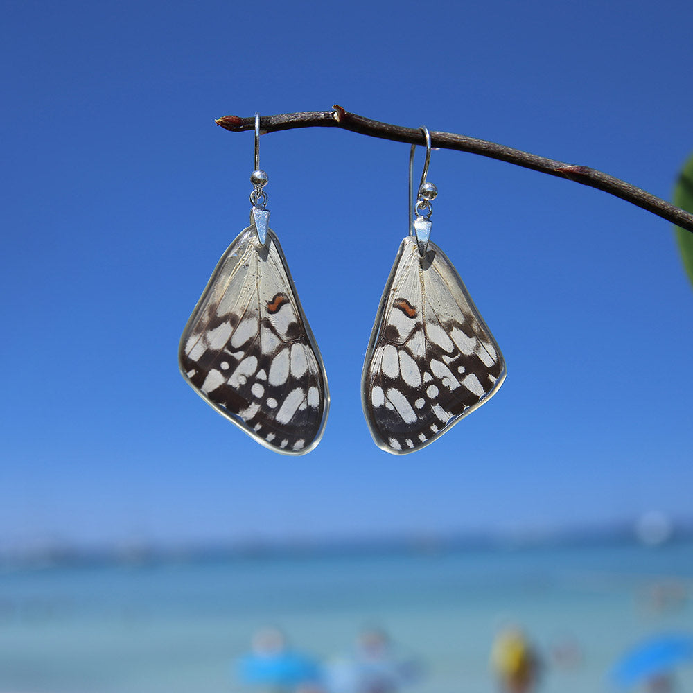 Pendientes Mariposa Hamadryas Feronia ala superior