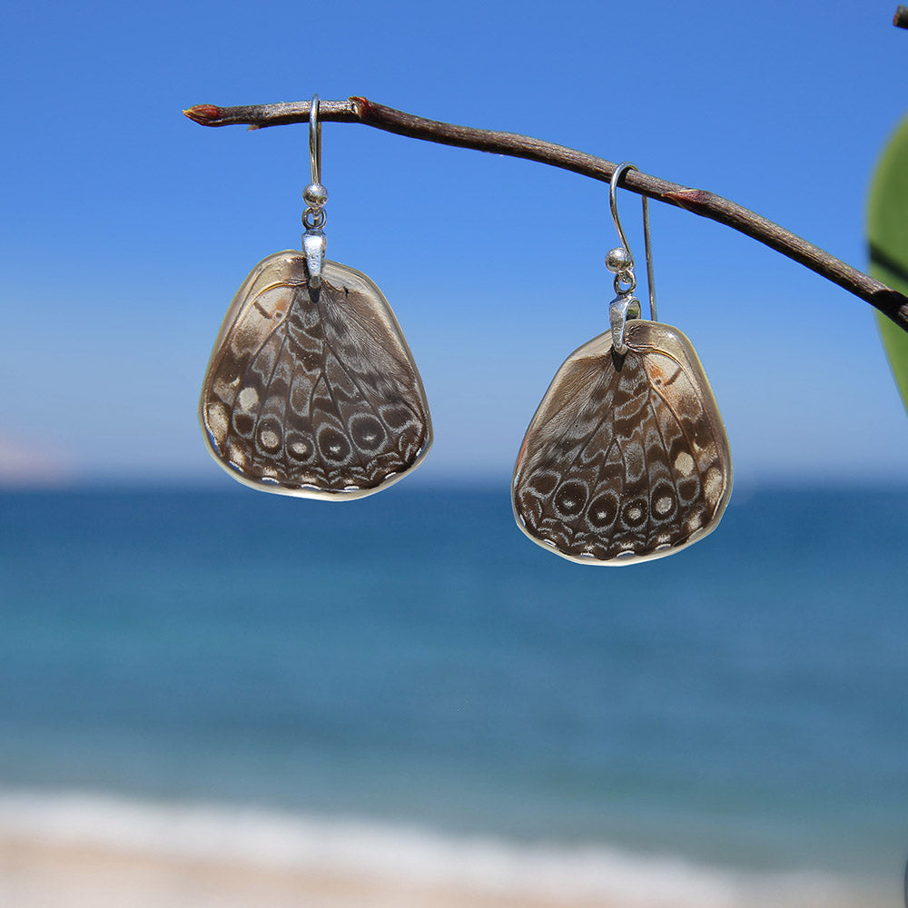 Hamadryas Feronia Butterfly Earrings Lower Wing