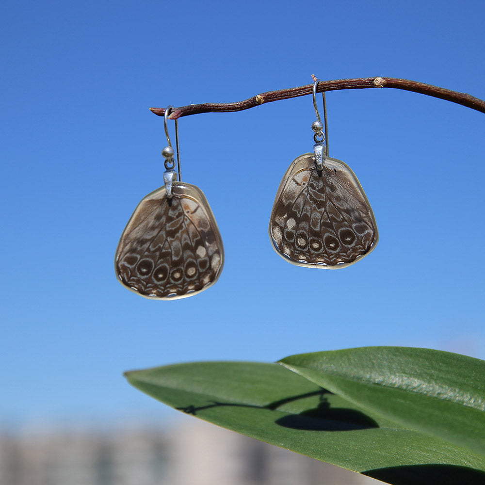 Pendientes Mariposa Hamadryas Feronia ala inferior