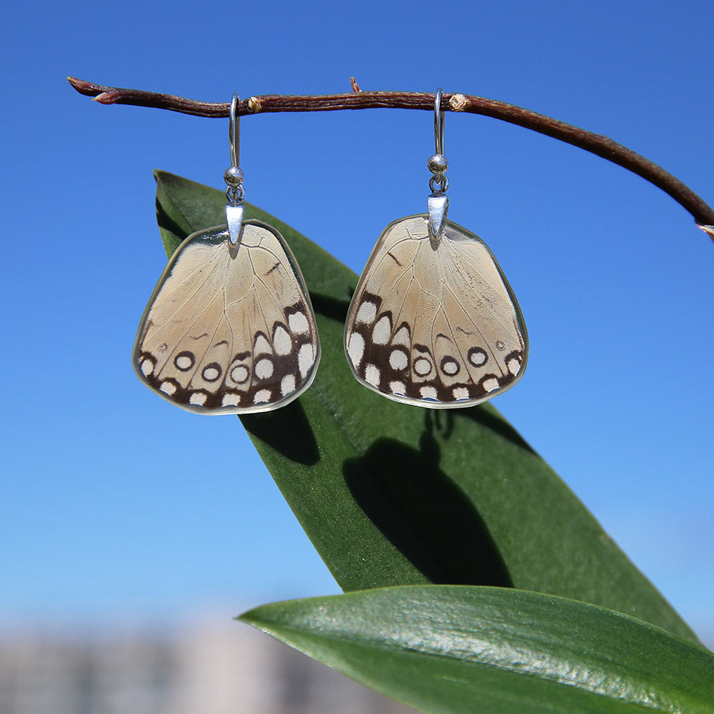 Hamadryas Feronia Butterfly Earrings Lower Wing