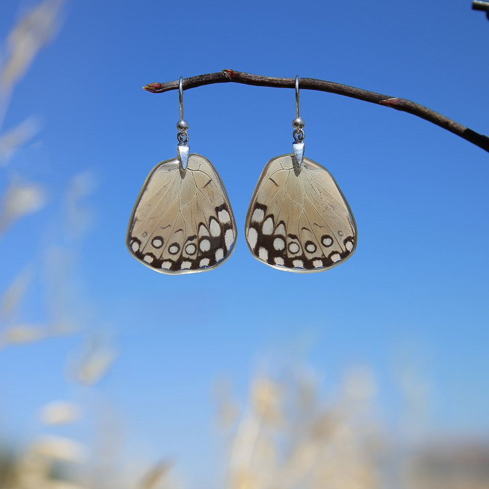 Pendientes Mariposa Hamadryas Feronia ala inferior