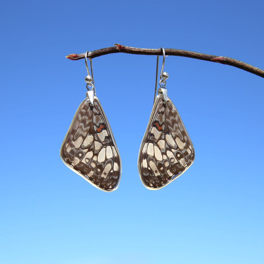 Pendientes Mariposa Hamadryas Feronia ala superior