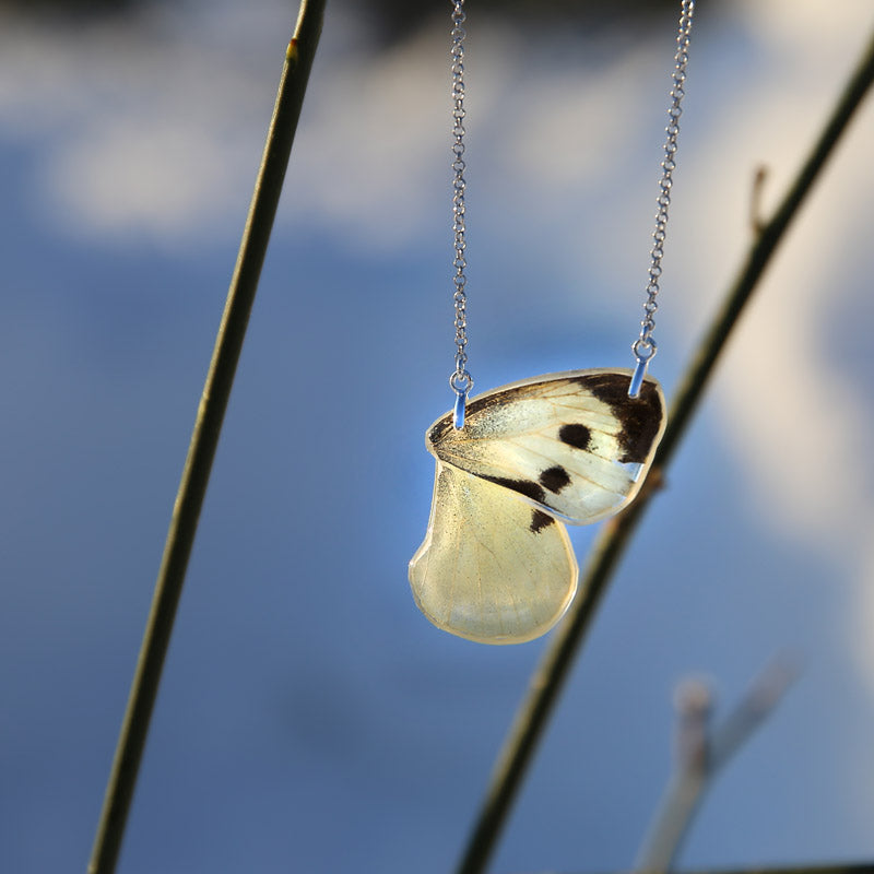 Pieris Brassicae Butterfly Choker