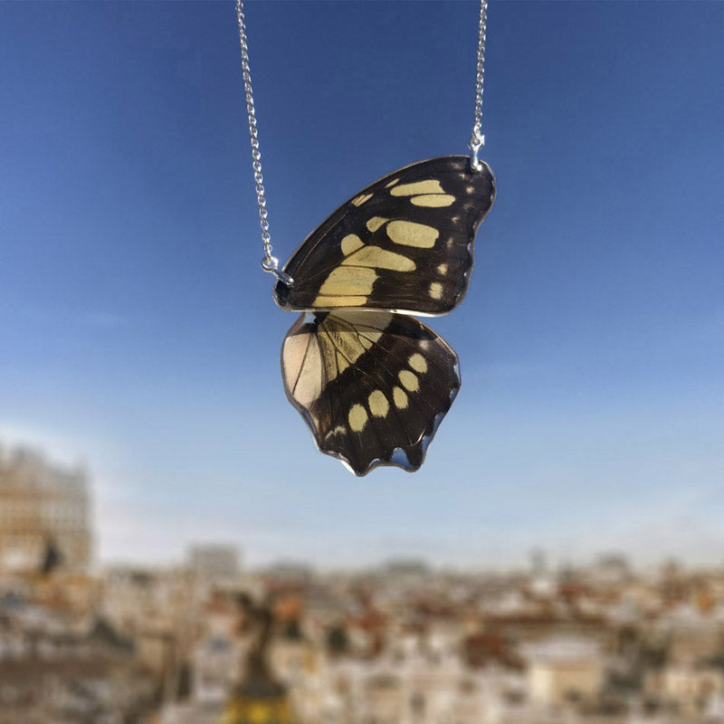 Gargantilla Mariposa Siproeta Stelenes