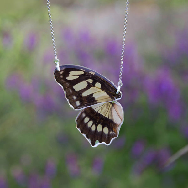 Siproeta Stelenes Butterfly Choker