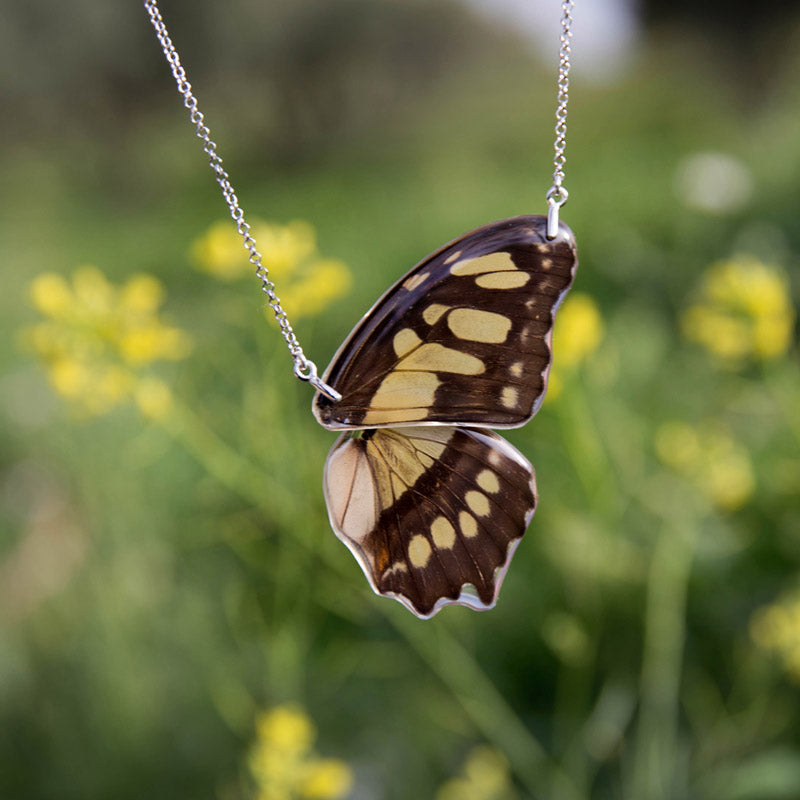 Siproeta Stelenes Butterfly Choker