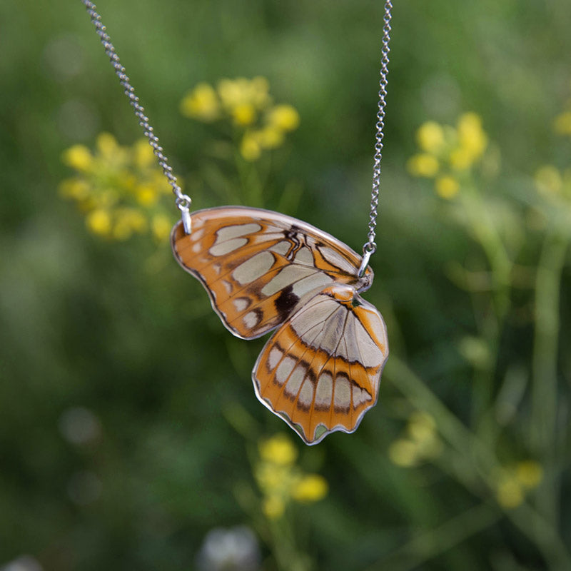 Siproeta Stelenes Butterfly Choker