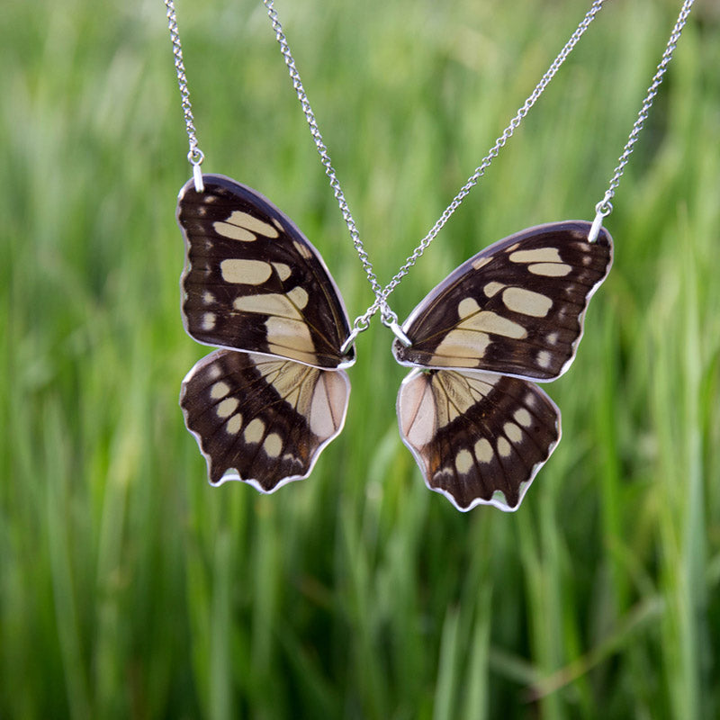 2 Siproeta Stelenes Butterfly Necklace