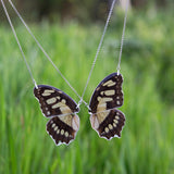 2 Siproeta Stelenes Butterfly Necklace