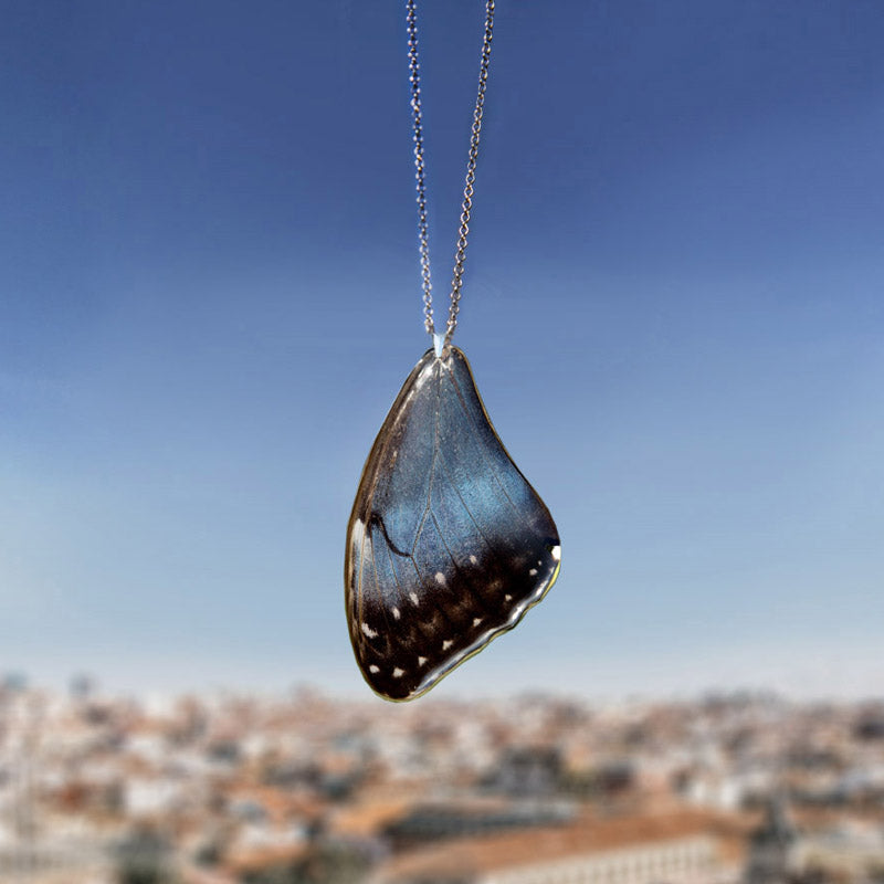 Morpho Peleides Upper Wing Butterfly Pendant