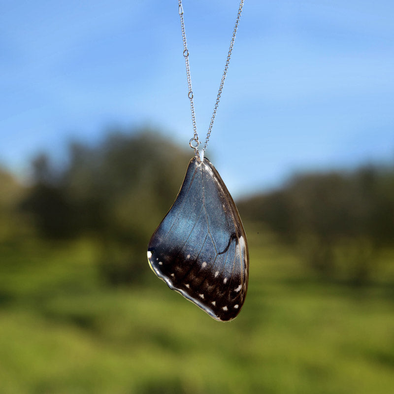 Morpho Peleides Upper Wing Butterfly Pendant