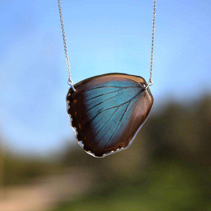 Morpho Peleides Butterfly Choker