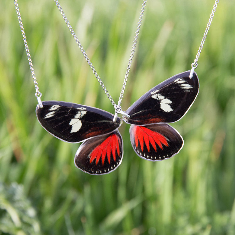 2 Heliconius Doris Butterfly Necklace