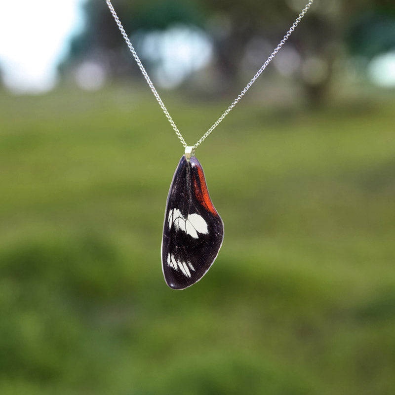 Colgante Mariposa Heliconius Doris largo