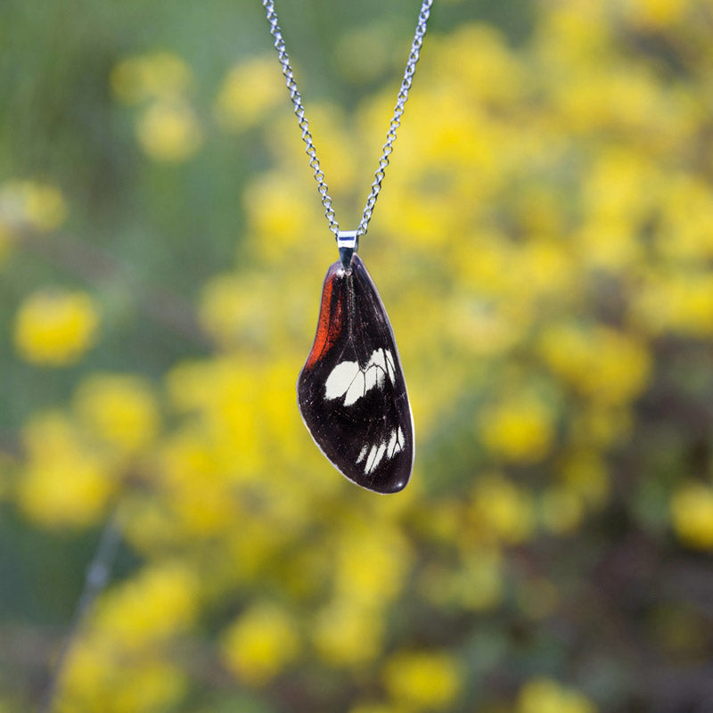 Colgante Mariposa Heliconius Doris largo