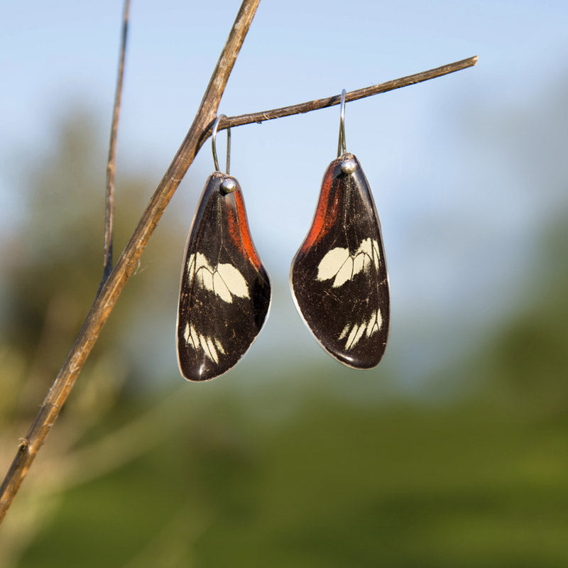 Long Heliconius Doris Butterfly Earrings