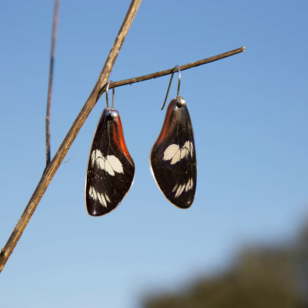 Long Heliconius Doris Butterfly Earrings