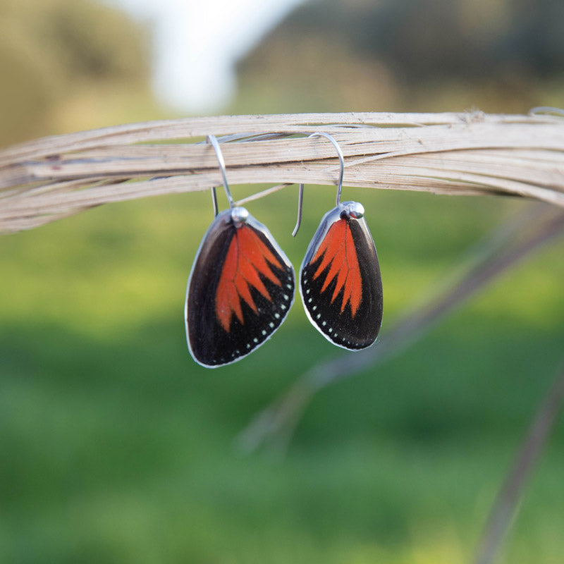 Short Heliconius Doris Butterfly Earrings