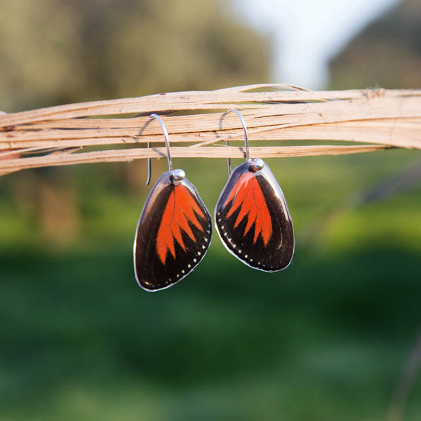 Short Heliconius Doris Butterfly Earrings