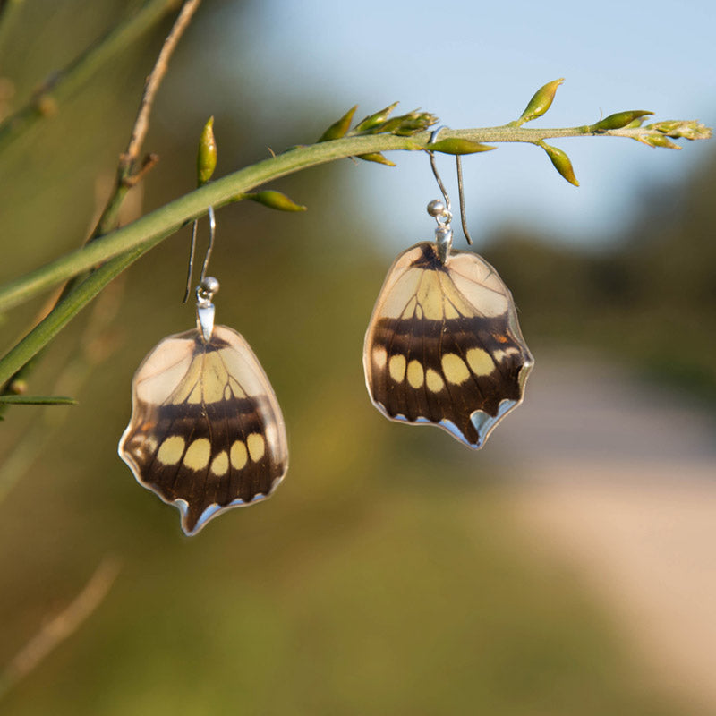 Short Siproeta Stelenes Butterfly Earrings