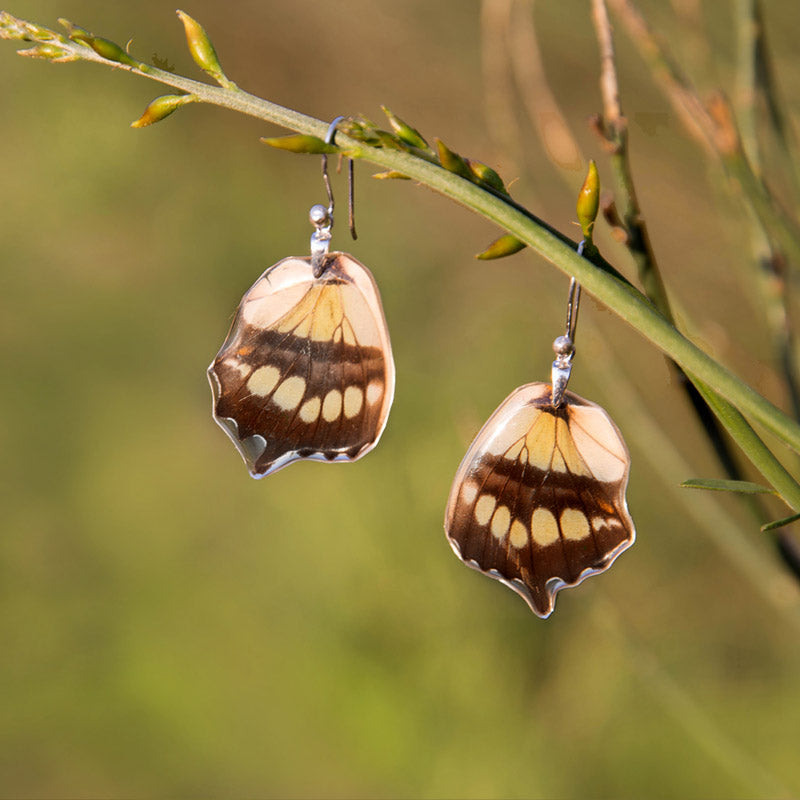 Short Siproeta Stelenes Butterfly Earrings