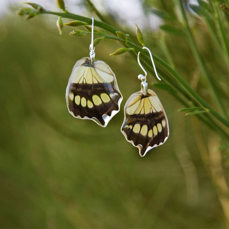 Short Siproeta Stelenes Butterfly Earrings