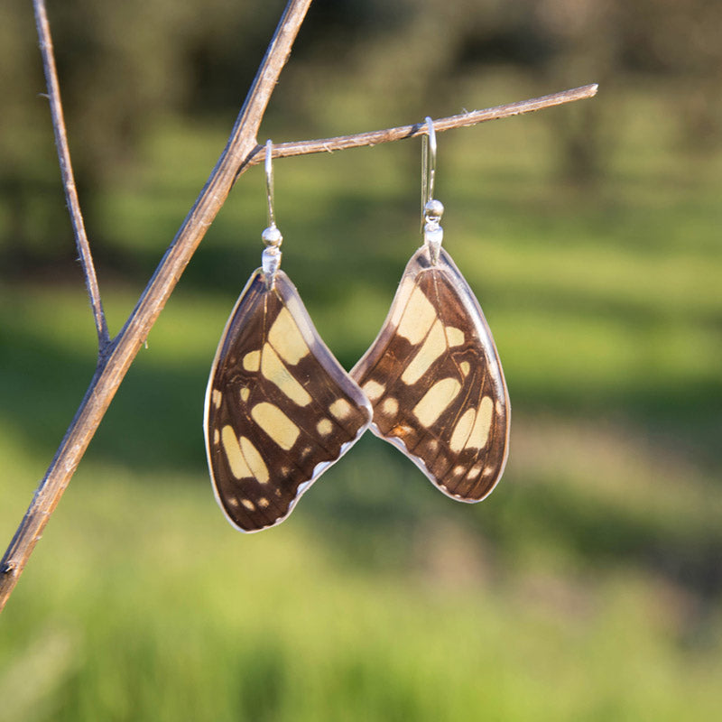 Long Siproeta Stelenes Butterfly Earrings