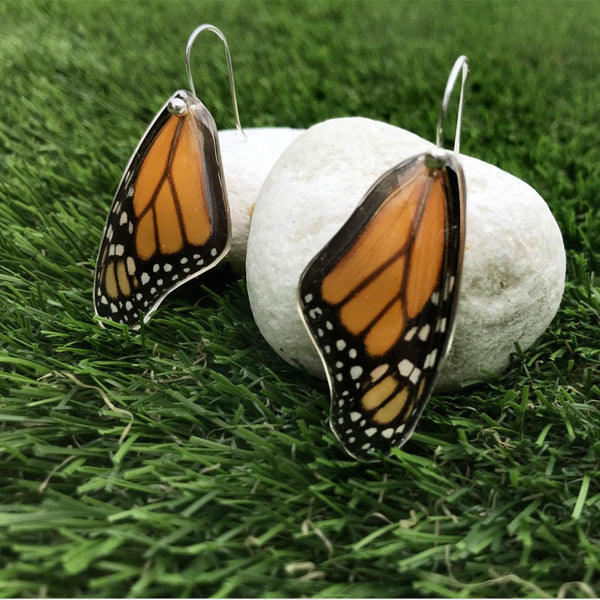Pendientes de Mariposa Monarca ala superior