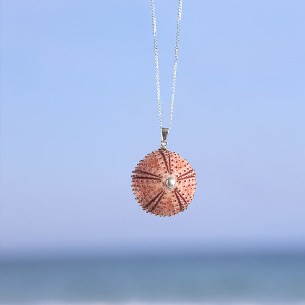 Medium Natural Pink Sea Urchin Pendant